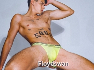 Floydswan