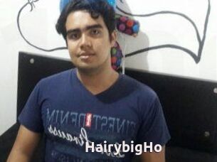 HairybigHo