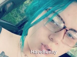 HareBunny