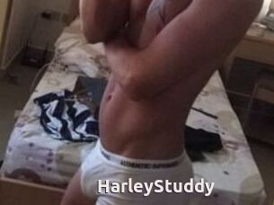 HarleyStuddy