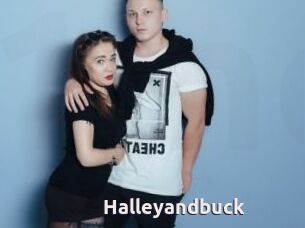 Halleyandbuck