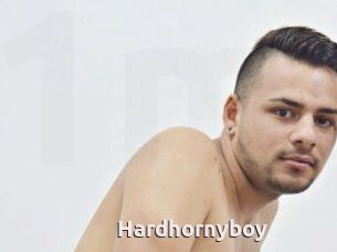 Hardhornyboy