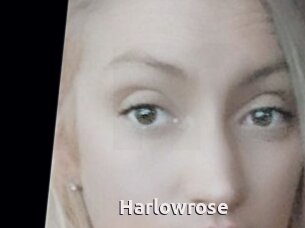 Harlowrose