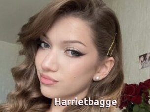 Harrietbagge