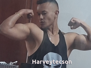 Harveytecson