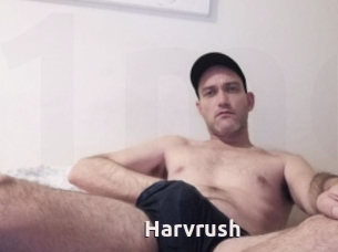 Harvrush