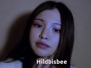 Hildbisbee