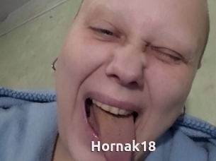 Hornak18