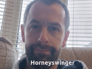 Horneyswinger