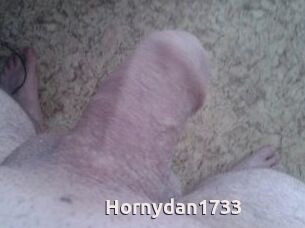 Hornydan1733