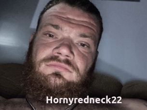 Hornyredneck22