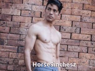 Horse9inchesz