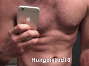 Hungbistud18