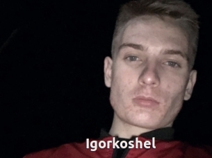 Igorkoshel