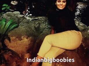 Indianbigboobies