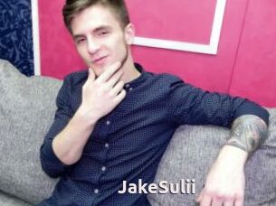 JakeSulii