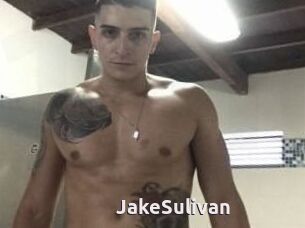 Jake_Sulivan