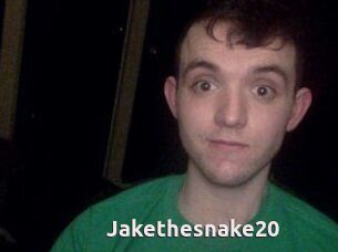 Jakethesnake20