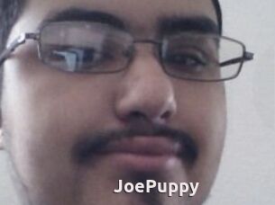 JoePuppy