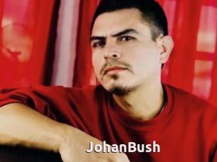 JohanBush