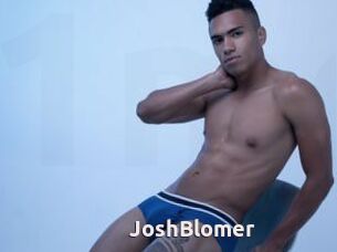 JoshBlomer