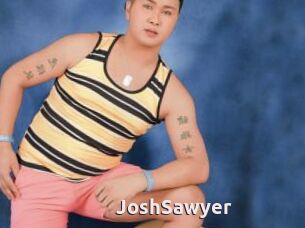 JoshSawyer