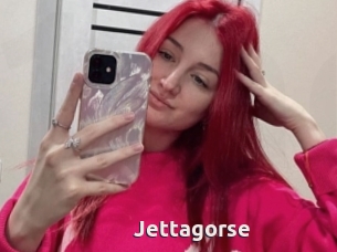 Jettagorse