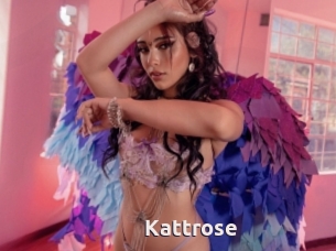 Kattrose