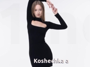 Koshechka_a