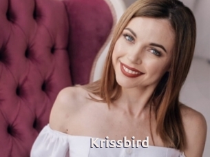 Krissbird