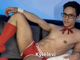 Kylelevi