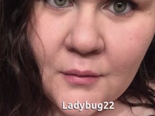 Ladybug22