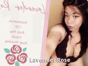 Lavender_Rose