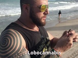 Lobocannabis