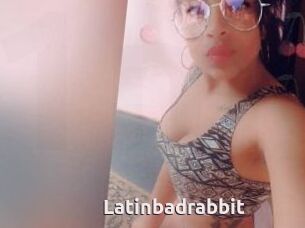 Latinbadrabbit