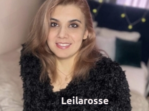 Leilarosse