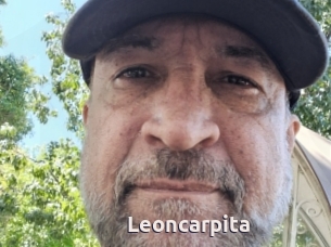 Leoncarpita