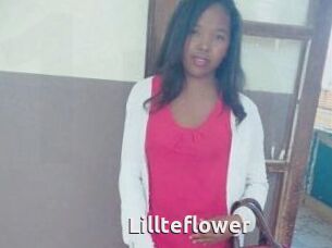 Lillteflower