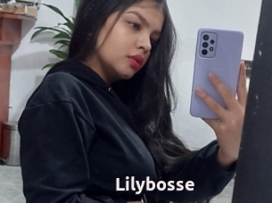 Lilybosse