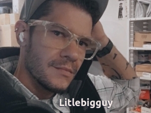 Litlebigguy