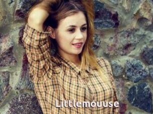 Littlemouuse