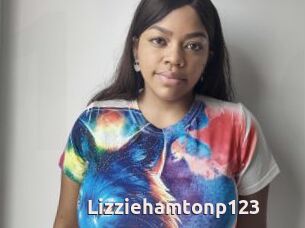 Lizziehamtonp123