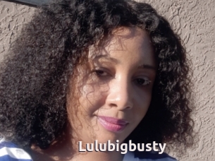 Lulubigbusty