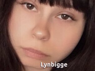 Lynbigge