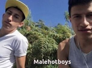 Malehotboys