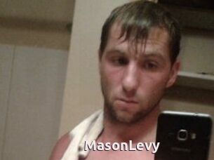 Mason_Levy