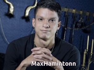 MaxHamintonn