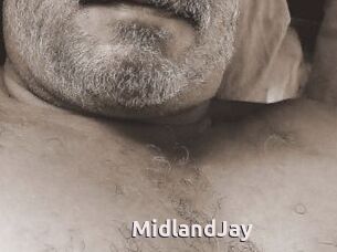 MidlandJay