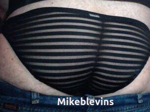 Mikeblevins