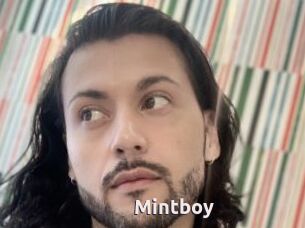 Mintboy